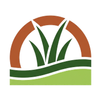 Chandler Turf Installation